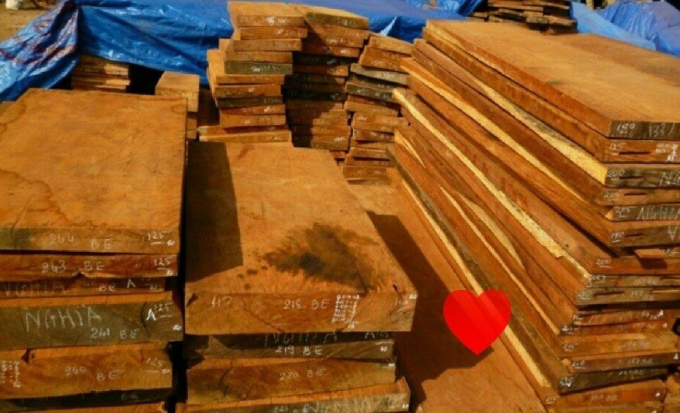 Phôi gỗ làm ván ngựa gỗ gõ đỏ Phôi gỗ làm ván ngựa gỗ gõ đỏ