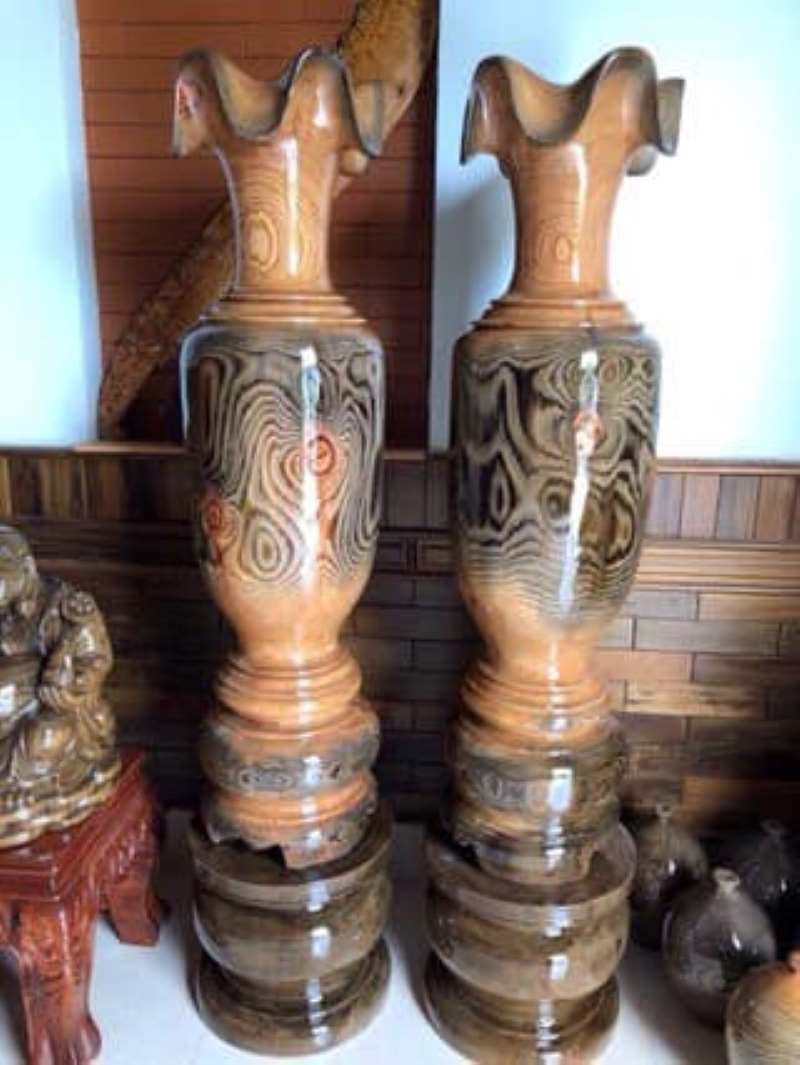 Lộc bình gỗ thông nước - thủy tùng đa sắc Lộc bình gỗ thông nước - thủy tùng đa sắc