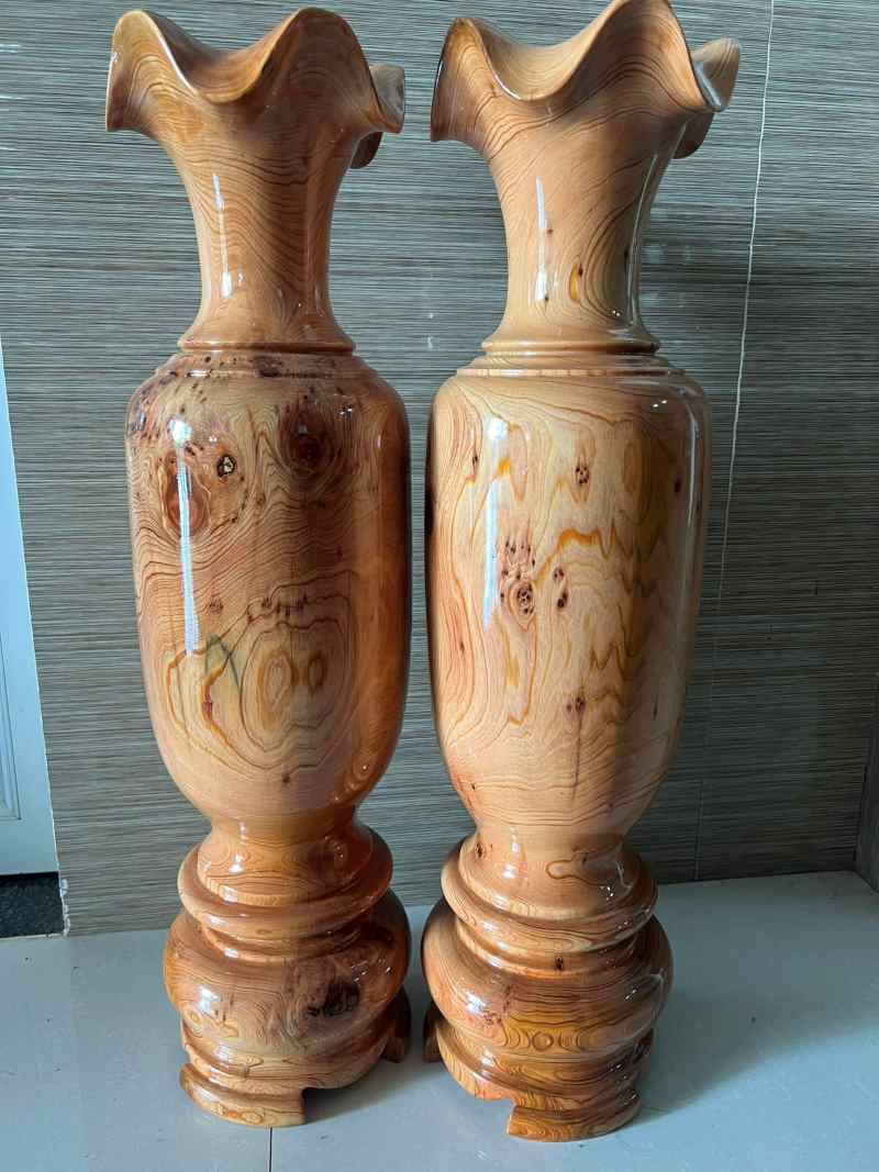 Lộc bình gỗ thông nước - thủy tùng đỏ Lộc bình gỗ thông nước - thủy tùng đỏ