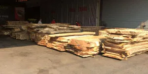 Gỗ me tây có bền không?