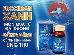 Fucoidan Nhật Bản: Loại nào được đánh giá tốt nhất?