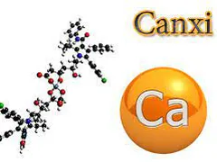Canxi là gì? Vai trò của canxi với cơ thể?