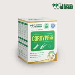 Protein thực vật Cordypro