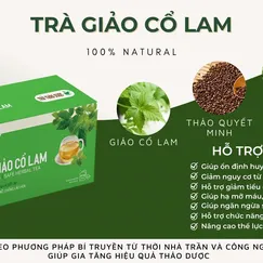 Trà túi lọc giảo cổ lam