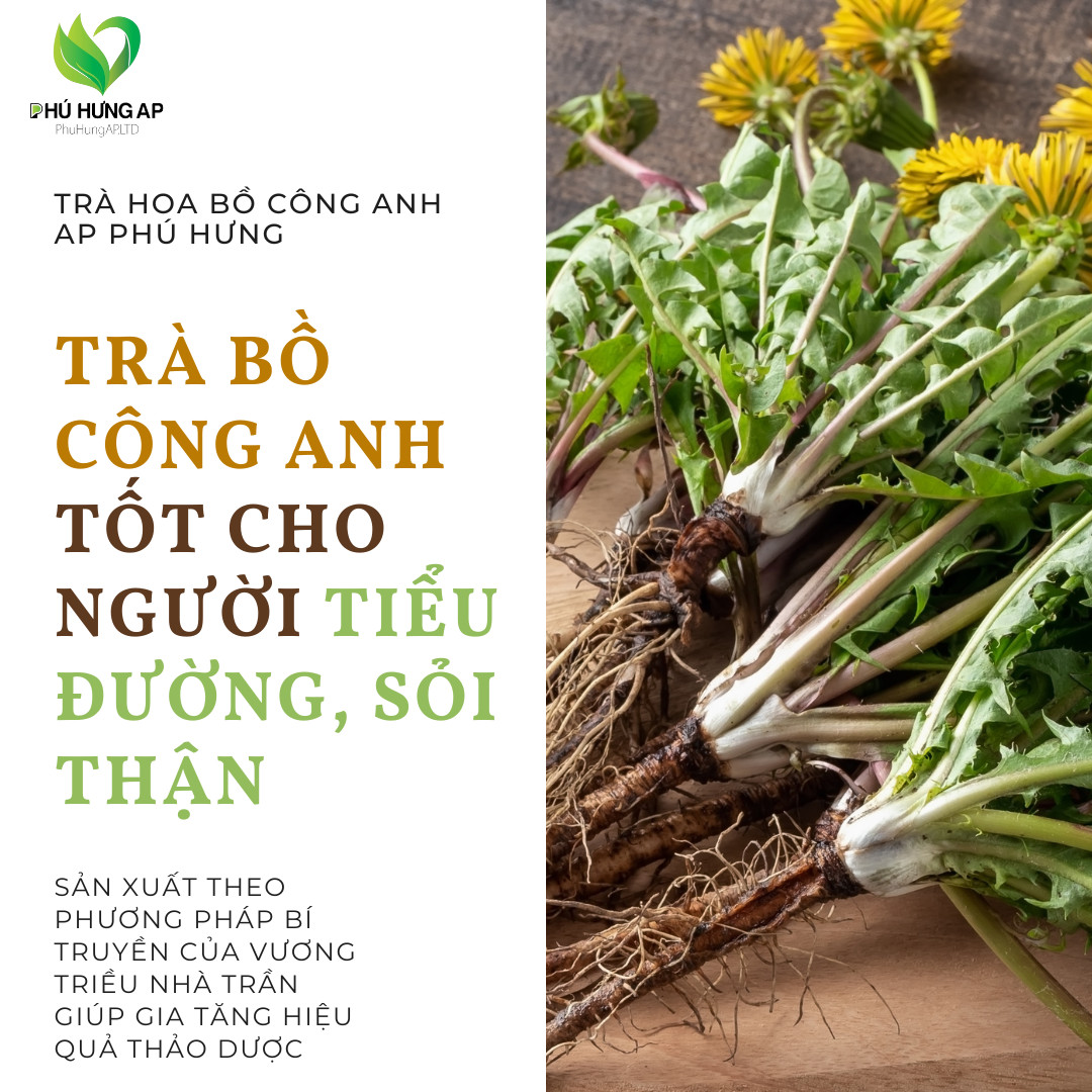 trà túi lọc bồ công anh