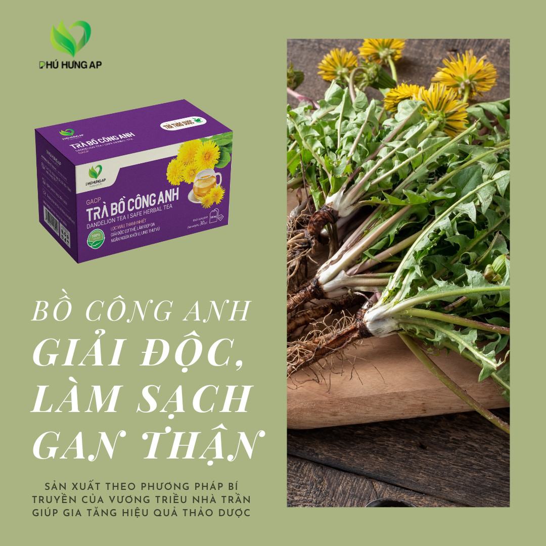 trà túi lọc bồ công anh