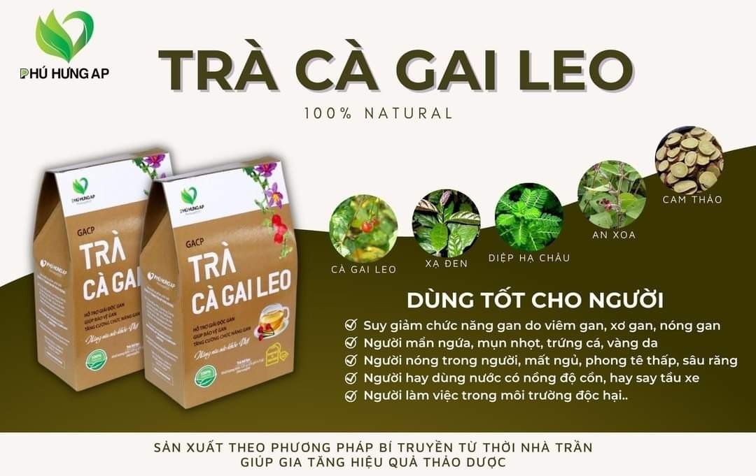 trà cà gai leo