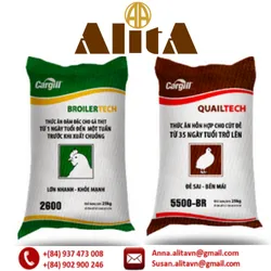 Laminated PP woven bags