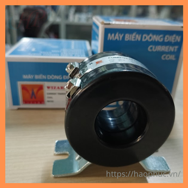 Biến dòng RCT