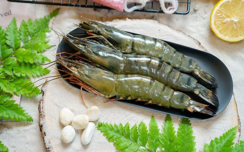 Khám Phá Kỳ Quan Ẩm Thực Từ Tôm Sú Tươi Sống – Hành Trình Tới Bàn Ăn Gia Đình Việt