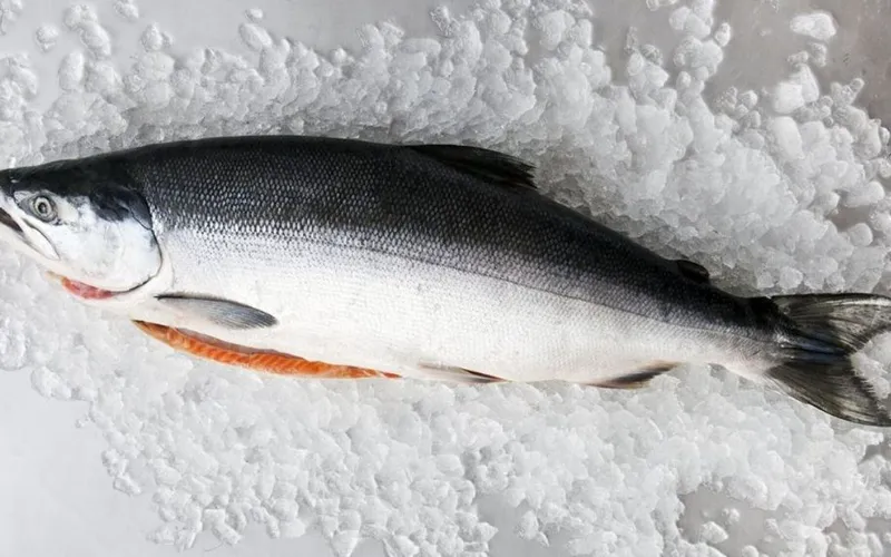 Cá hồi tươi sống: Hành trình từ đại dương đến bàn ăn & Bí quyết chế biến chuẩn vị nhà hàng