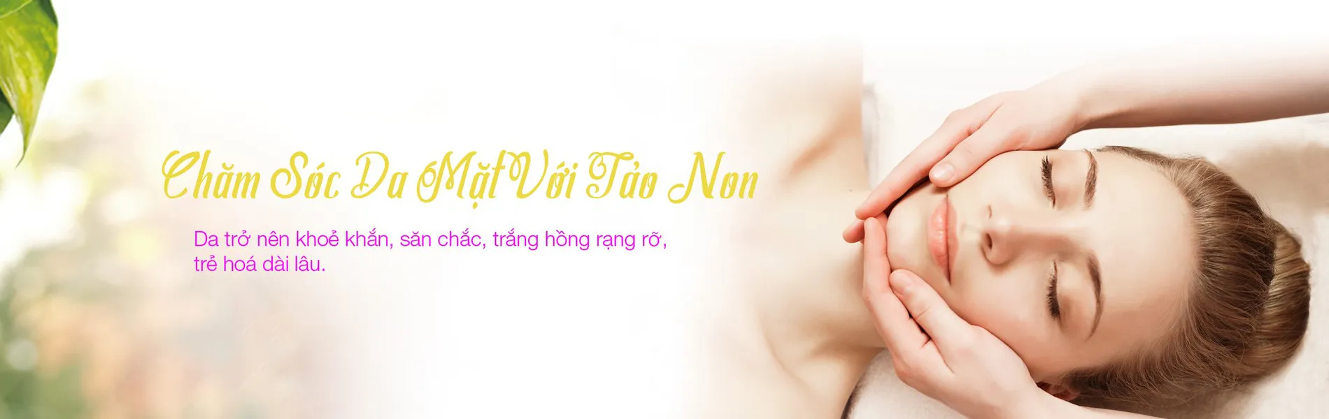 AVISPA MANG ĐẾN BẠN VẺ ĐẸP CỦA MỘT CHÍNH KHÁCH HOÀNG GIA