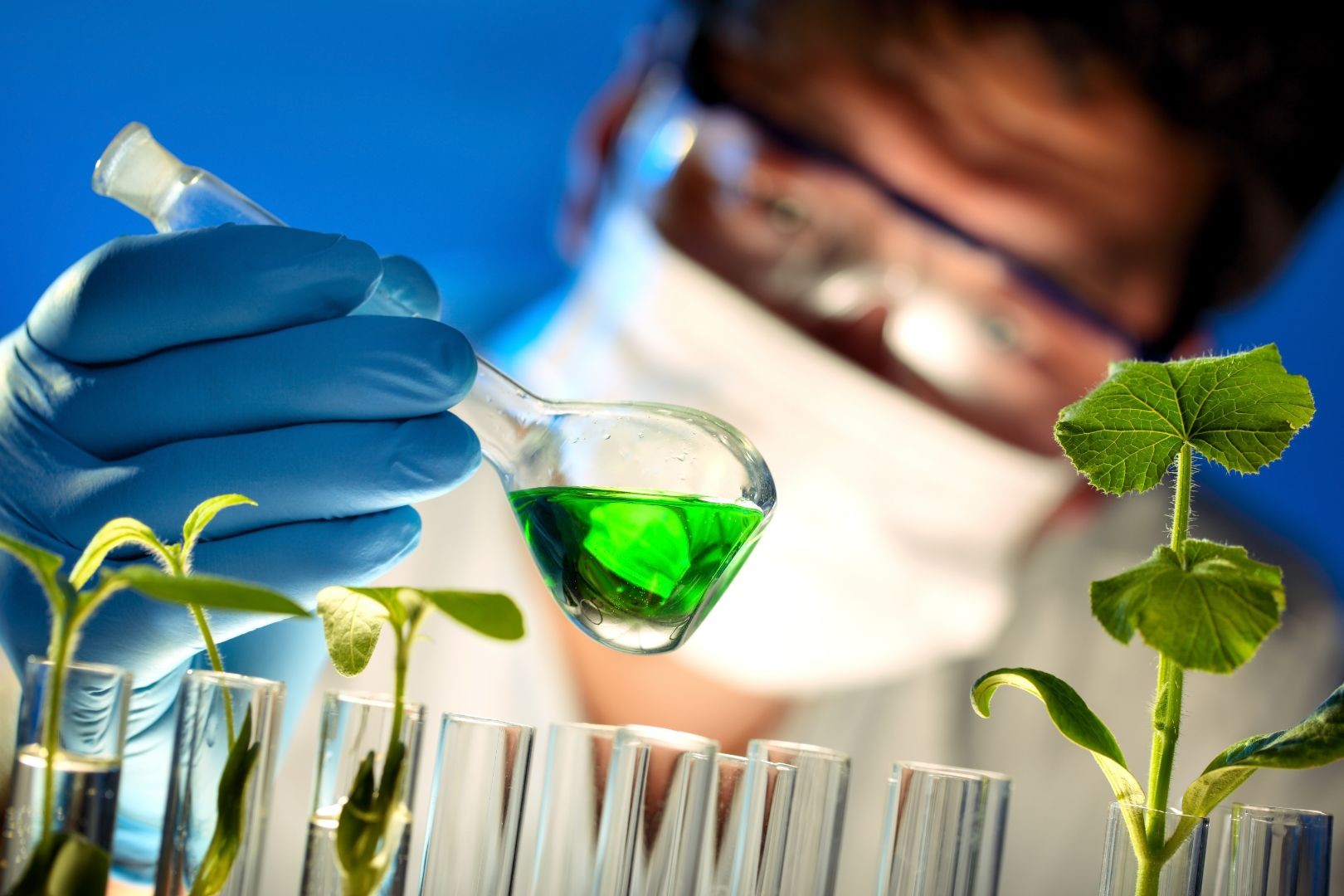 Công nghệ sinh học qua góc nhìn cận cảnh từ phòng thì nghiệm