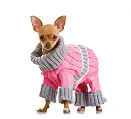 Chó Beagle lai nhập