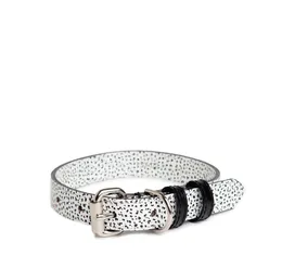 Dây dắt Purple cao cấp