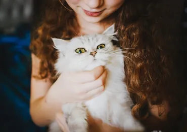 Sai lầm thường mắc khi nuôi mèo
