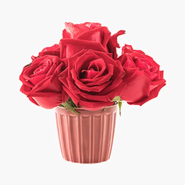 Giỏ hoa hồng cam tươi