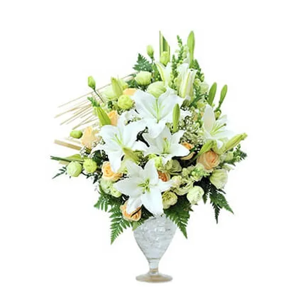 Hoa bình cắm cao cao