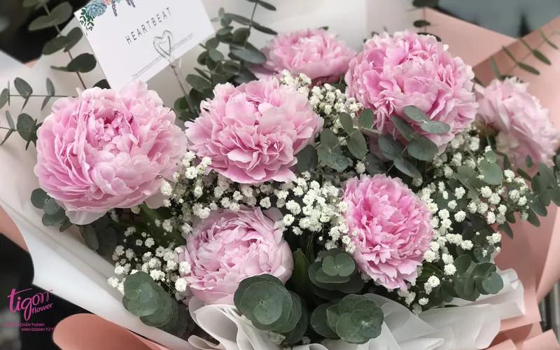 Cắm hoa mẫu đơn nhớ thêm bảo bối “ngọt ngọt”, hoa nở bung tươi lâu cả tháng