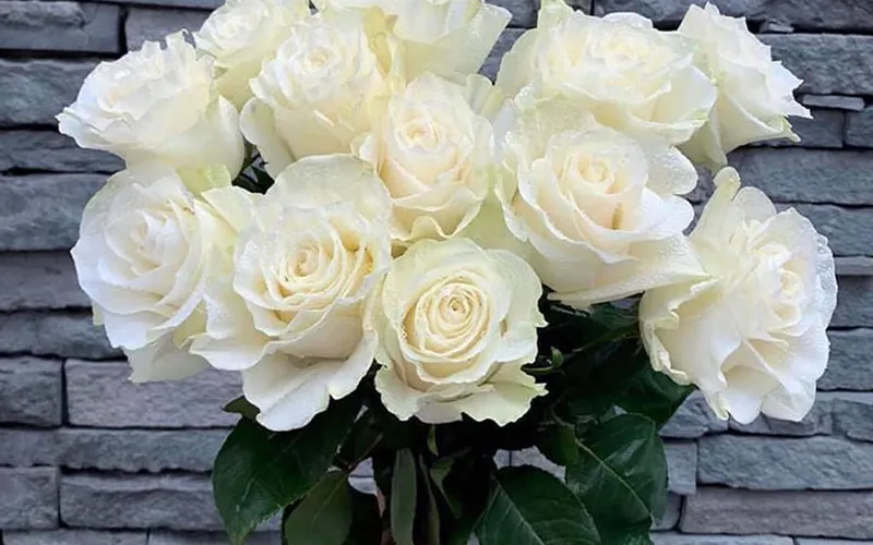 Màu sắc hoa nào sẽ thống trị làng hoa trong năm 2023?