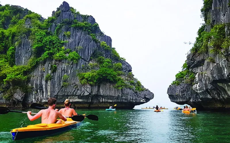 Tour Vịnh Lan Hạ nửa ngày